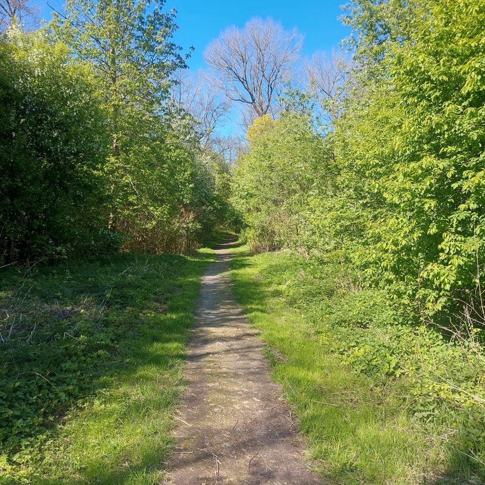 20240418_144556[1]