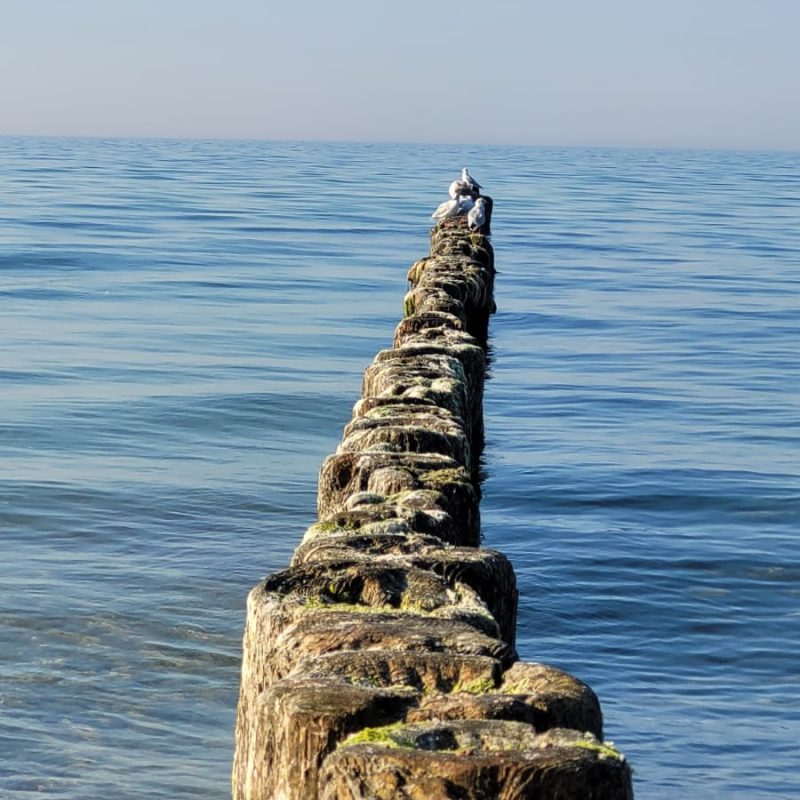 IMG-20230910-WA0010[1]