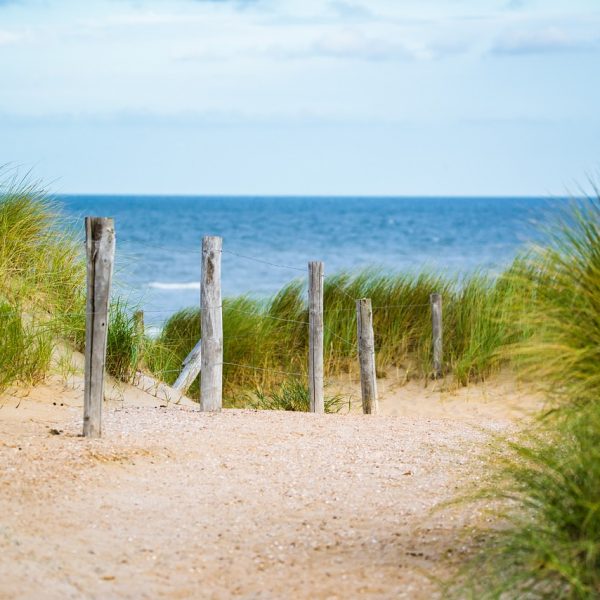 thin, sea, fence-2902686.jpg
